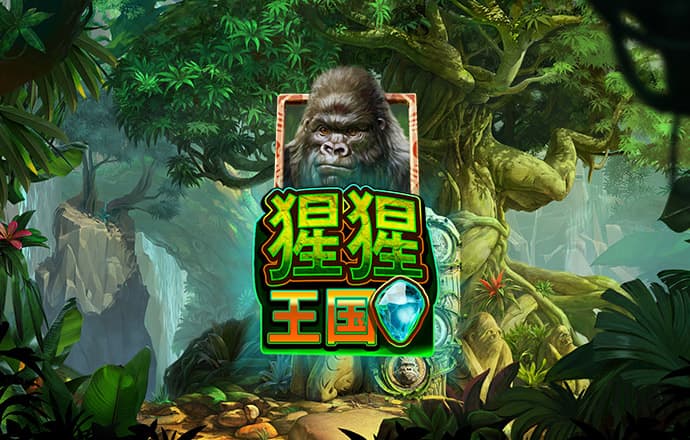 澳门三肖三期必出一期